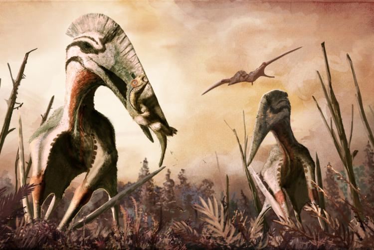 Hatzegopteryx
