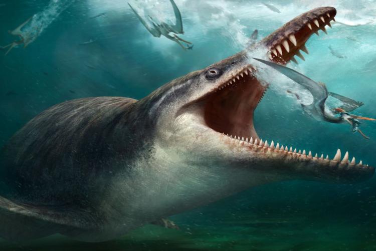 Kronosaurus