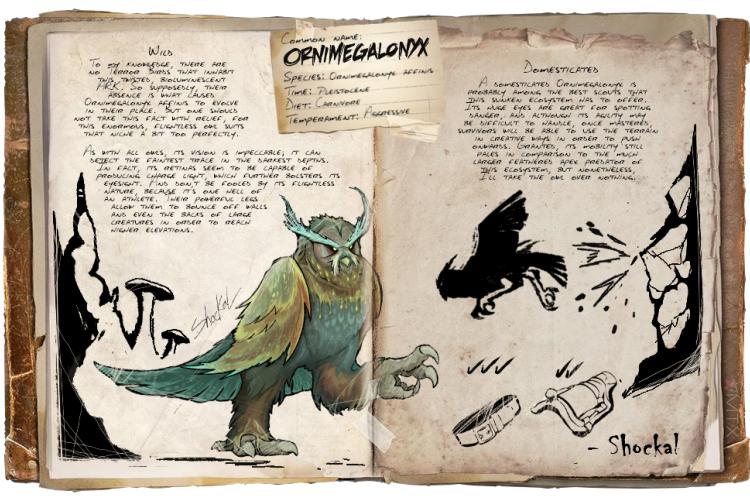 Ornimegalonyx, the Giant Flightless Owl